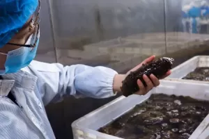 水产品养殖、粗加工