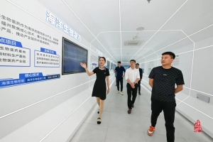 鼓楼：高标准打造“四大载体”