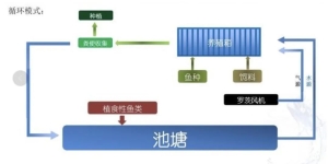 陆基推水集装箱式水产养殖技术