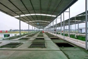 陆基推水集装箱式水产养殖技术