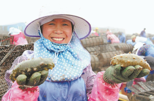 “三浦并臻”系列报道 | 霞浦：遇见蔚蓝 向海图强