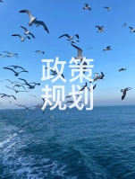 自然资源部发布探索推进海域立体分层设权工作的通知