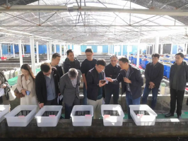 喜讯！我省首家国家级水产良种场在泉通过验收