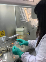 新型水产养殖海洋微生态制剂的研发与产业链构建需要解决的问题