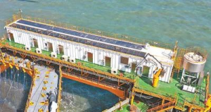 风电养殖融合 建设海洋牧场