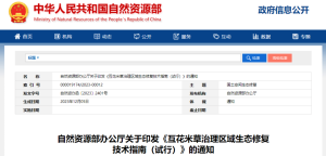 自然资源部印发《互花米草治理区域生态修复技术指南 (试行)》