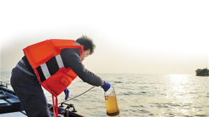 海洋微生物除油剂
