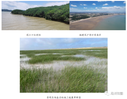 自然资源部东海局发布《2022年东海区海洋生态状况报告》