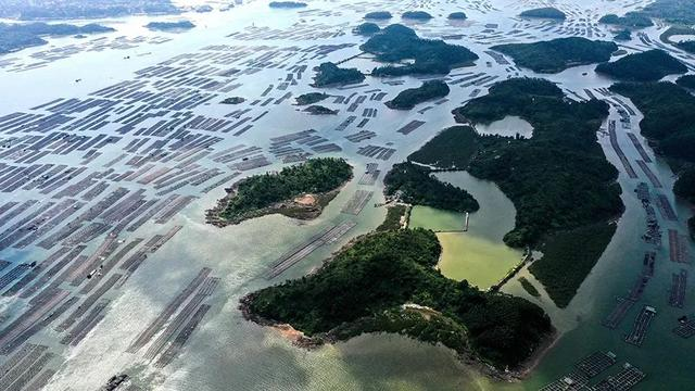 海岸带生态修复研究中心