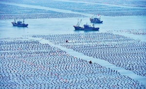 自然资源部在《求是》发表署名文章：抓好海洋资源开发保护 为建设美丽中国提供蓝色动力