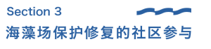 海洋科普｜近岸海洋生态系统的稳定者——海藻场
