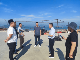 海洋科普｜近岸海洋生态系统的稳定者——海藻场