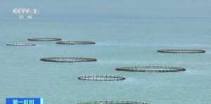央媒聚焦丨我国169个国家级海洋牧场示范区，年产生直接经济效益940亿元！