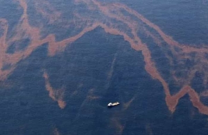 海洋微生物除油剂