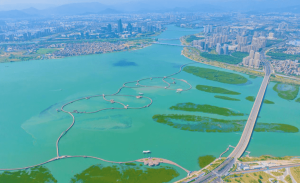 专家：厦门已成全球海湾型城市高质量发展引领者