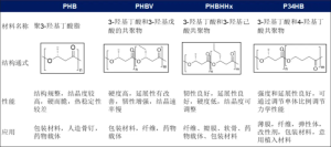 一株嗜吡啶红球菌及其在生产PHBV中的应用