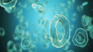 海洋微生物合成医药中间体氯醇
