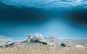 海洋生物源低聚肽高效脱盐技术