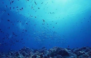 生物活性物质国家标准物质  研发技术体系