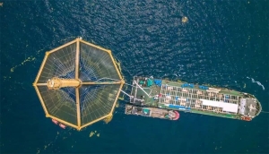 向海！向海！向海！