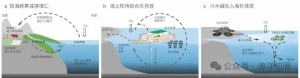 厦门海洋负排放研究中心正式揭牌，焦念志院士领衔“海洋负排放国际大科学计划”在厦门落地实施！