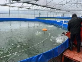 泉州：海上春耕忙，蓄力开门红