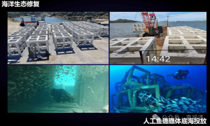 【项目】51.4亿元！福清这个项目最新进展来了！