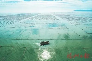 福州：蓝碳完成交易量近6万吨