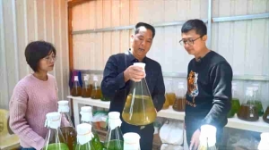 福建漳浦：“寻味”鲷鱼