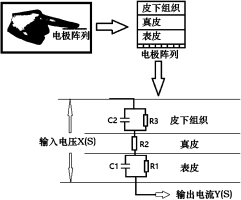 一种基于电触觉设备的人手皮肤-电极生物阻 抗模型参数估计方法