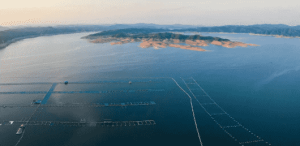 大数据时代，海洋环境跨越治理迎智慧革新