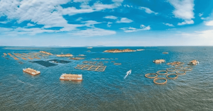 福建诏安县：市场化配置，海域使用“活”起来