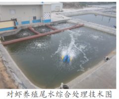 对虾养殖尾水综合处理技术