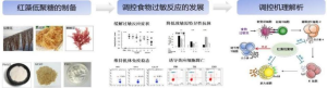 抗过敏红藻低聚糖的产业化推广