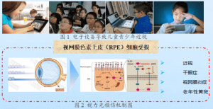 岩藻黄素开发视力保护功能食品关键技术