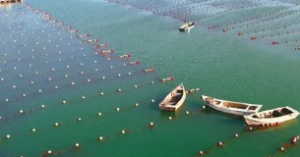 2024年一季度海洋经济运行情况解读