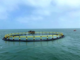 好文分享丨海水养殖网箱防污损生物的主要处理方法
