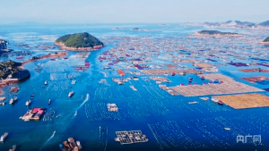福建省海洋与渔业局：大力发展“海上粮仓” 推进海洋经济高质量发展