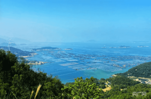 福建：鼓励企业开展氢燃料电池船舶应用试点示范