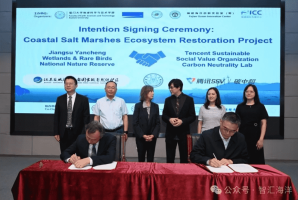 海洋赋能！腾讯、厦门大学合作开启蓝碳交易新篇章