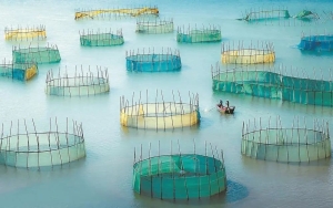 宁德：靠海吃海，吃出新滋味