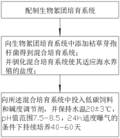 一种海水自养硝化型生物絮团培养方法