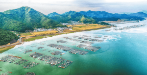 节约集约用海的“蓝色实践”