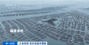 漳州东山：海洋“种”鲍 “巨无霸”品种受青睐