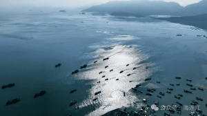 国家级海洋牧场，福建拟+1