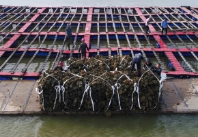 丰收！这些“小海鲜”大量上市！