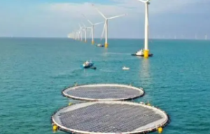 海上漂浮式光伏高效开发技术