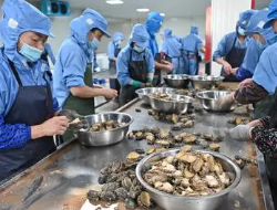 鲍鱼深加工及综合利用关键技术创新与产业化应用