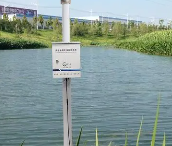 水产养殖中氨氮智能监测分析技术的研究和产业化