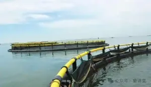 国家级、省级渔业补贴一览！